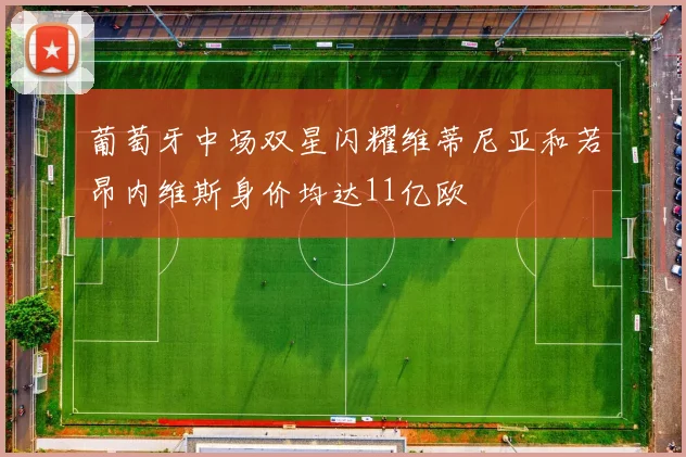 葡萄牙中场双星闪耀维蒂尼亚和若昂内维斯身价均达11亿欧