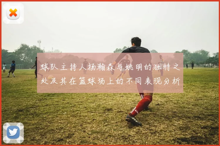 球队主持人杨瀚森与姚明的独特之处及其在篮球场上的不同表现分析