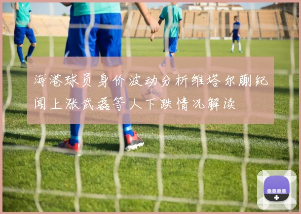 海港球员身价波动分析维塔尔蒯纪闻上涨武磊等人下跌情况解读