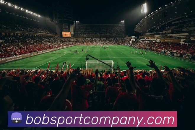 BOB足球平台生态图